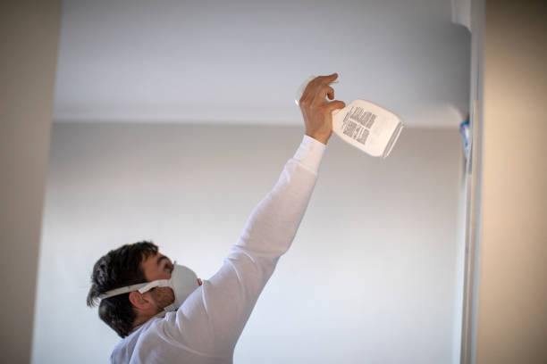 Best Residential Mold Removal  in Middlesex, NC