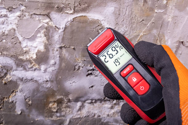 Professional Mold Removal in Middlesex, NC