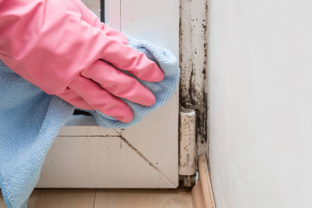 Best Emergency Mold Removal  in Middlesex, NC